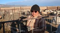 Cowboys und Indianer – Irene Bennalley hat lange in der Stadt gelebt. Nach dem Tod ihres Vaters übernahm sie seine Schafzucht. Schafe sind den Navajo sehr wichtig.