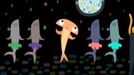 Animanimals – Der Hammerhai tanzt mit den Haien.