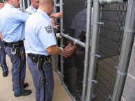 Lockdown - Hinter Gittern – Do, 01.01., 17:55 Uhr