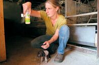Land - Liebe - Luft – Nina Kill bei der Fütterung eines Schweinchens.