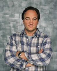 Immer wieder Jim – (1. Staffel) - Jim (Jim Belushi), Ehemann und Vater von zwei Kindern, hat mit dem ganz normalen Wahnsinn des Lebens zu kämpfen. Fest davon überzeugt, dass er immer alles im Griff hat, richtet er das ein oder andere Chaos an ...
