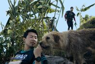 Filmnacht im ZDF: Arthur der Große – l-r: Simu Liu als Leo und Mark Wahlberg als Michael