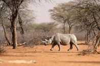 Abenteuer Namibia – Abenteuer Namibia (2019)