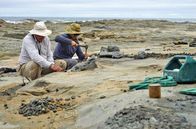 Australiens schönste Küstenstraße – Suche nach Dinosauriern