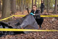Lincoln Rhyme: Der Knochenjäger – Amelia Sachs (Arielle Kebbel)