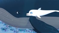 Zoom - Der weiße Delfin – Zoom - Der weiße Delfin (2020)