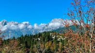 Länder-Menschen-Abenteuer: Slowenien - Zwischen Alpen und Adria – Velika Planina, die Hirtensiedlung am Südrand der Steiner Alpen