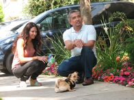 Der Hundeflüsterer – Bei Chihuahua-Dame Binkey muss der Hundeflüsterer Cesar Millan (r.) mit jeder Menge Einfühlungsvermögen ans Werk gehen, denn Binkey wurde ohne Vorderläufe geboren und möchte sich einfach nicht an den "Rollstuhl" gewöhnen ...