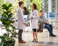 The Good Doctor – The Good Doctor (2020)