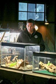 CSI: Vegas – CSI: Vegas (2014)