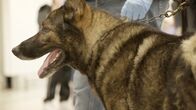 Border Control: Italiens Grenzschützer – Fr, 30.08., 14:15 Uhr