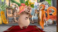 King Julien – Fr, 11.11., 06:05 Uhr