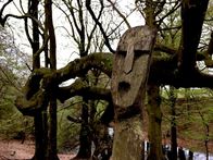Terra X: Superhelden – Die ersten Angelsachsen waren Heiden. Auch als sie zum Christentum konvertierten, praktizierten einige noch weiter den heidnischen Glauben.