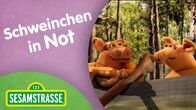 Sesamstraße – Zwei kleine Schweinchen haben ein Problem. Ihr Boot fährt nicht auf dem Fluss. Das ist ein Fall für Super Grobi 2.0.