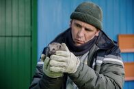 Löwenzahn – Der kleine Igel braucht dringend Hilfe, um den Winter zu überleben. Fritz (Guido Hammesfahr) kümmert sich um ihn.