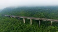 Lost Places – Bildunterschrift: Inmitten des brasilianischen Urwalds ragt eine Brücke über den Baumkronen hervor. Das Kuriose: Sie endet im Nichts.