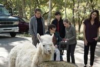 Speechless – Ein Roadtrip der besonderen Art wartet auf Maya (Minnie Driver, r.), Jimmy (John Ross Bowie, l.) und ihre drei Kinder Ray (Mason Cook, M.), JJ (Micah Fowler, 2.v.l.) und Dylan (Kyla Kenedy, 2.v.r.) ...