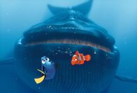 Findet Nemo – Sa, 25.12., 17:55 Uhr