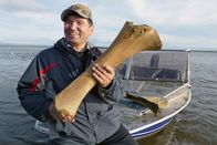 GEO Reportage – Der tauende Permafrostboden gibt Geheimnisse preis - bis vor 4.000 Jahren lebten hier noch riesige Wollhaarmammute.