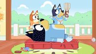 Bluey – L-R: Bingo, Bandit, Bluey