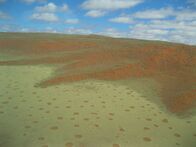 Geheimakte Wildnis – Namibrand Nature Reserve, Southern Namibia - Aerial photo of Fairy Circles with sand dunes.
