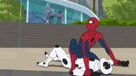 Spider-Man – Spider-Man (2018)