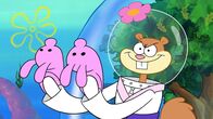 SpongeBob Schwammkopf – Sandy