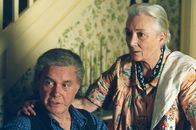 Spider-Man – Onkel Ben (Cliff Robertson, l.) und Tante May (Rosemary Harris, r.) trauen ihren Augen kaum! Kann ihr Neffe tatsächlich die Wände hoch krabbeln?