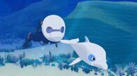 Zoom - Der weiße Delfin – Yann ist mit einem Spezial-Taucherhelm unterwegs, um das Meer um die Insel Maotou zu erkunden. Sein bester Freund Zoom (r.) begleitet ihn dabei. Die beiden machen eine sensationelle Entdeckung.