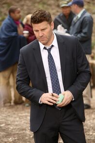 Bones - Die Knochenjägerin – Booth (David Boreanaz) wird in ein Boot-Camp für Übergewichtige in einem Waldstück vor den Toren Washingtons gerufen, wo die menschlichen Überreste eines Restaurantkritikers gefunden wurden.