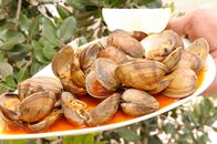 Zu Tisch ... – Venusmuscheln auf galicische Art