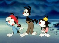 Animaniacs – Animaniacs (1993)