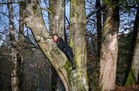 Sturm der Liebe – Um sich vor den Wildscheinen in Sicherheit zu bringen, rettet Lia (Deborah Müller) sich auf einen Baum.