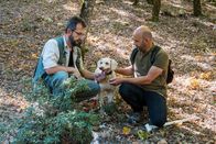 Zu Tisch ... – Zu Tisch Meteora – Griechenland Nikos und sein Cousin loben den erfolgreichen Trüffelhund Hermes Copyright: SRF/Marina Funck