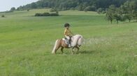 Die Sendung mit dem Elefanten – Laura trainiert mit ihrem Mini-Shetty auf dem Reitplatz das Springen.