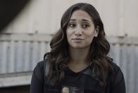 Hawaii Five-0 – Tani Rey (Meaghan Rath)