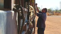 Outback Truckers – Steve Grahame