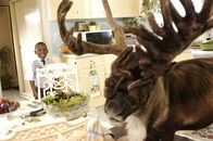 Oh du Fröhliche... Rentier Buddy rettet Weihnachten – Hector (Bobb'e J. Thompson, l.)