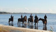 Abenteuer Rügen und Hiddensee – Abenteuer Rügen und Hiddensee (2016)