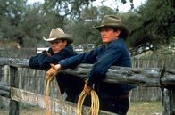 All die schönen Pferde – John Grady Cole (Matt Damon, li.) und sein Freund Lacey Rawlins (Henry Thomas, re.) haben auf einer großen mexikanischen Ranch angeheuert.