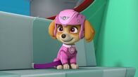 Paw Patrol - Helfer auf vier Pfoten – Skye