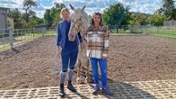 Anna und die Haustiere – Knabstrupper 4