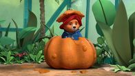 Paddingtons Abenteuer – Paddington