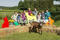 Das Haustiercamp – Das Haustiercamp (2014-2018)