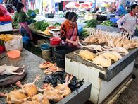 Verrückt nach Meer – Nach einer Stunde Fahrt vom Hafen Sanya (Halbinsel Hainan, China) gibt es im Hafenort Xincun einen spontanen Besuch des lokalen Marktes, der einige Überraschungen bereithält, z.B. massenhaft gerupfte Hühner.