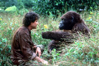 Congo – Congo (1995)