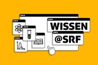 Wissen@SRF – Wissen@SRF Keyvisual 2022