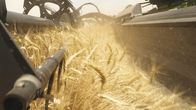 Große Erfindungen – Hightech Maschinen sichern die Ernte