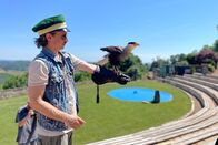 Ostrowski macht Urlaub – Michi bei der Greifvogelshow auf Schloss Riegersburg