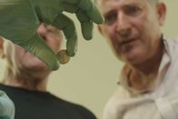 Die Inseln der Queen – Reg Mead und Richard Miles haben den größten, keltischen Münzschatz der Welt gefunden, über 51 000 Münzen sind bereits freigelegt worden.